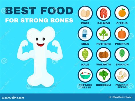 Best Food For Strong Bones Strong Healthy Stock Vector Illustration