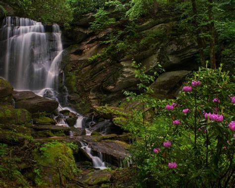 Wallpaper North Carolina Waterfall Rhododendrons Rocks 1920x1200 Hd