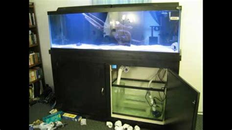 125 Gallon Aquarium Built From Beginning To Completion Youtube