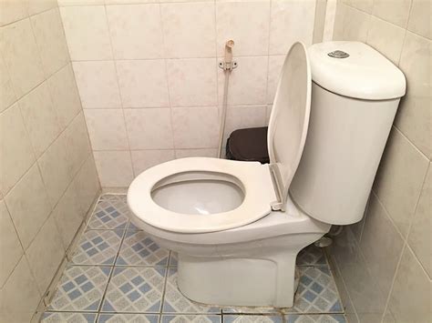 Different Types Of Toilet Seats From Shape To Material And Beyond