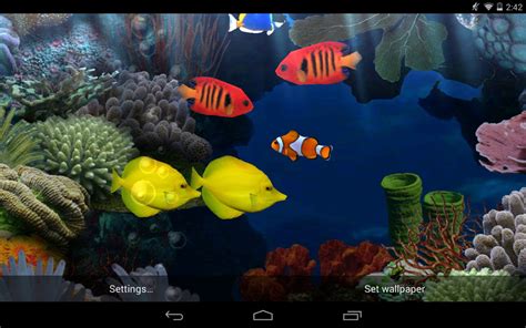 Best Fish Live Wallpapers Android Live Wallpapers