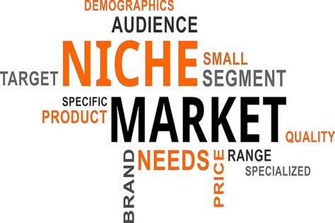 What Is Niche Find Its Significance Marketing2business