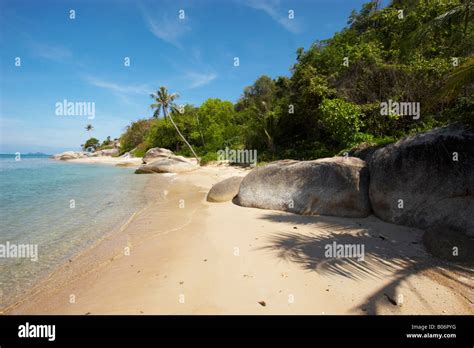 Idyllic Tropical Beach Scene Stock Photo Alamy