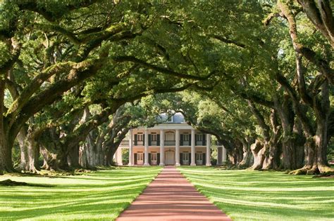 Our Visit To Oak Alley Plantation Louisiana Part 1 I Run For Wine