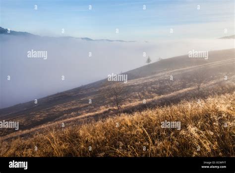 Fog Covering The Mountain Forests Ukraine Fall Stock Photo Alamy