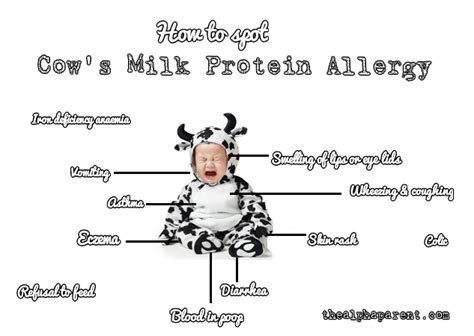 Milk allergy can be handled by use of hydrolysate formula, soy products and excluding as with any allergic reaction, the immune system of the infant will release histamines to attack the foreign protein (dairy products from cow's. How to spot Cow's Milk Protein Allergy in babies. (Click ...