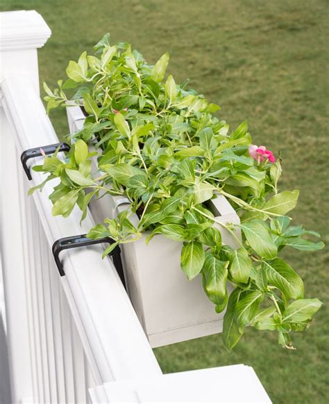The balcony railing planter is one of unique decorative planter in the balcony decoration that reflects your state of mind and pleasure. DIY Railing Planter Box | Railing planters, Deck railing ...