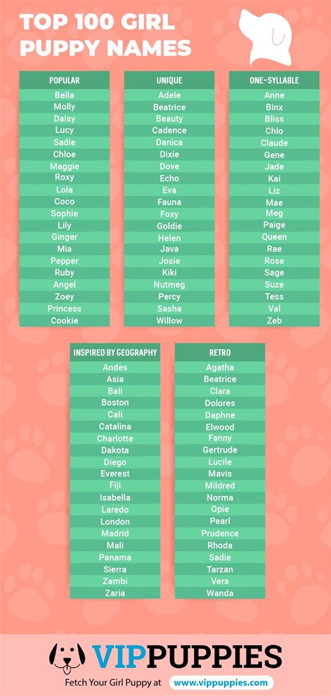 Girl Puppy Names 1000 Dog Names For Girls Vip Puppies Puppy