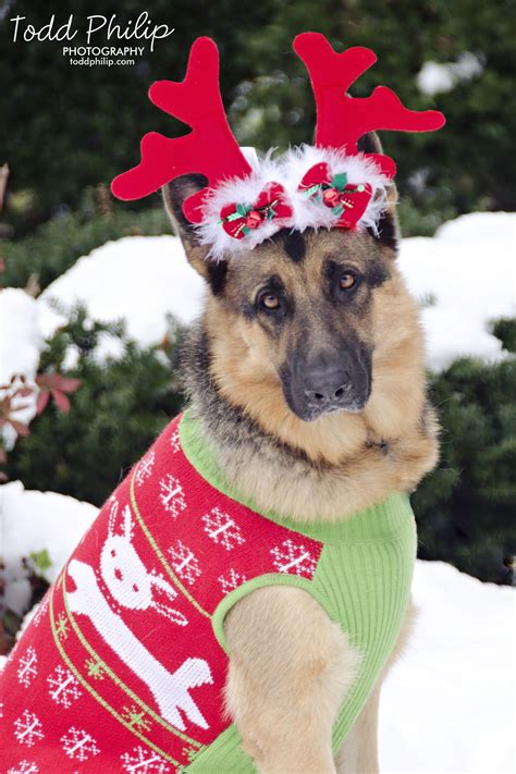 Holiday German Shepherd Christmas Snow Dog Sweater