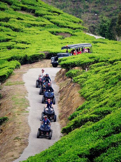 .cameron valley bharat plantation seperti donat, ais krim , kek dan juga hidangan pastry yg lain. 27 Tempat Menarik Di Cameron Highland 2018 (Panduan Lengkap)