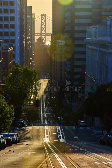 Golden Light Over San Francisco Street Of Skyscrapers With Oakland Bay