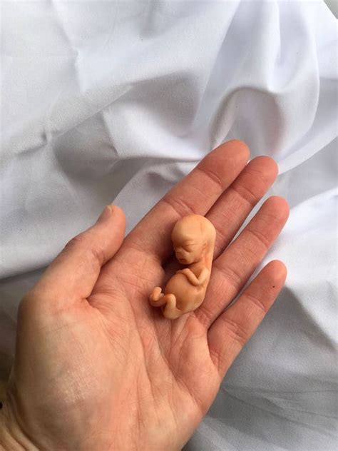 Ooak 10 Week Gestation Baby Memorialhonor Sculpture Made Etsy