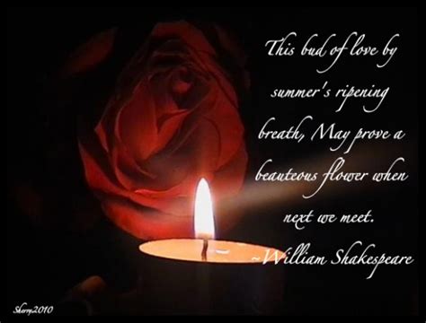 The rose is the flower of love. Red Rose Poems And Quotes. QuotesGram