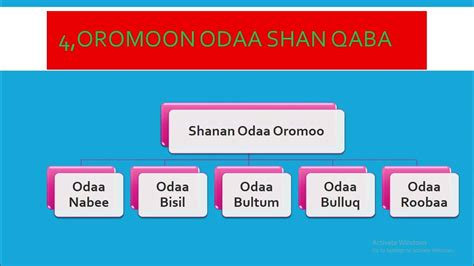 Lakkoofsi Shan Oromoo Biratti Akkamiin Ibsama Shanan Odaa Hortee