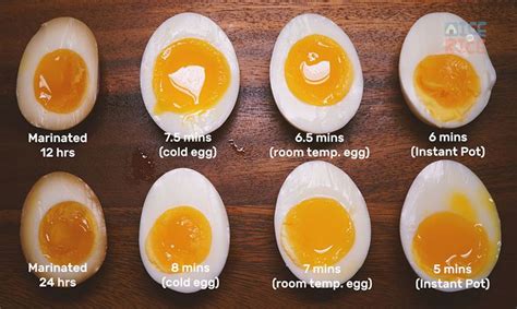 We did not find results for: Shoyu Ramen Egg | Recipe | Ramen egg, Shoyu ramen, Eggs
