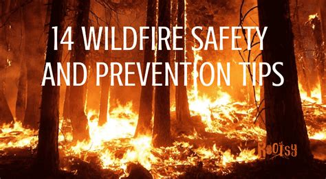 14 Tips For Wildfire Safety And Prevention At Home Rootsy Network