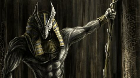 anubis full hd wallpaper and background image 1920x1080 id 603937