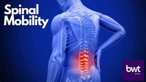 Spinal Mobility From Your Chair Youtube