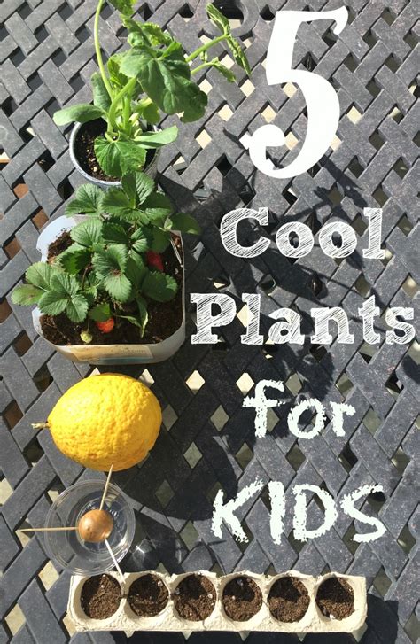 Sheryl cooper is the founder of teaching 2 and 3 year olds, a website full of activities for toddlers and preschoolers. Gardening Activities for Kids · The Typical Mom