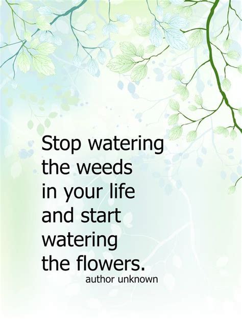 Water Your Flowers Not Your Weeds Free Printable It Is A Reminder To
