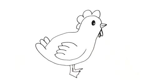 How To Draw A Baby Chick My How To Draw
