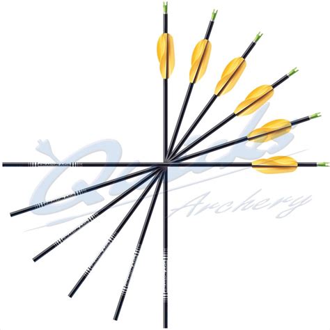 Easton Ace Arrows With Beiter Pin Nocks And Ep49 Points
