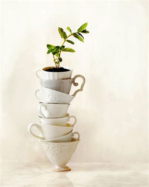 Still Life Tea Cup Stack Annabelle Breakey Photography Food And Still