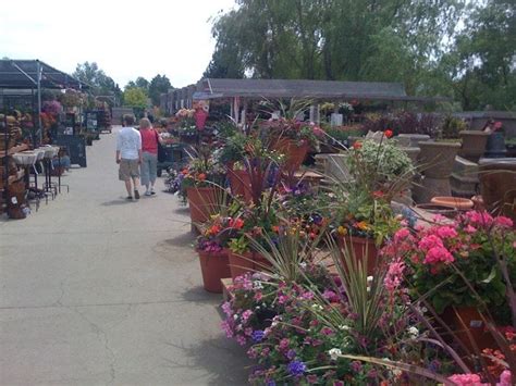 Mahoney's garden center / mulch. Highlands Garden Center - Yelp