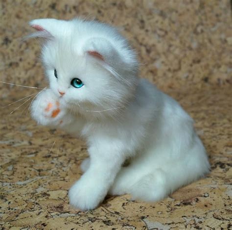 White Cat Realistic Stuffed Animals Poseable Art Doll Etsy