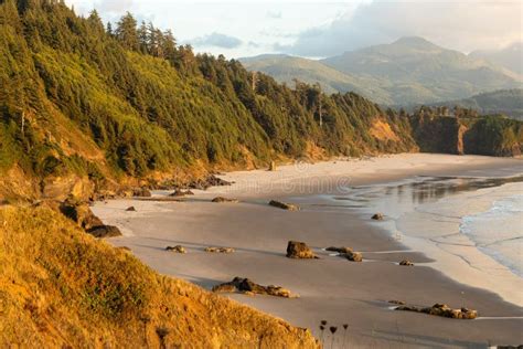 Coastal Forests Meet A Pacific Ocean Beach In Oregon Stock Photo