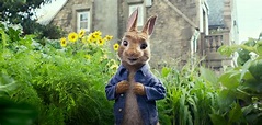 Peter Rabbit: New Trailer Finds Domhnall Gleeson Trying to Kill Bunnies ...