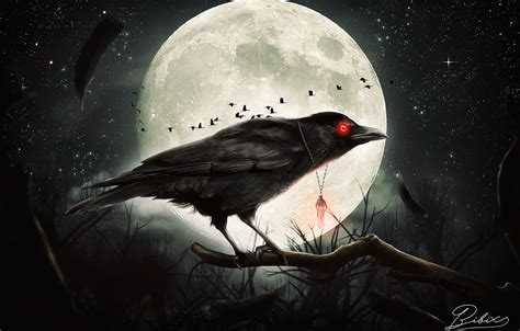 Wallpaper Night Gothic The Moon Raven By Destroyer971 Images For