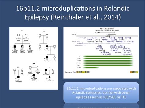 Three Things About 16p112 Duplications In Rolandic Epilepsy That