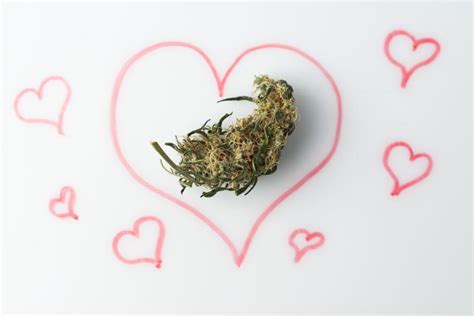 Exploring The Benefits Of Cbd For A Healthy Sexual Relationship