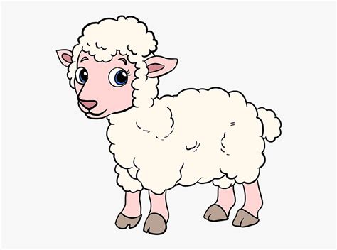 How To Draw Lamb Cartoon Free Transparent Clipart Clipartkey