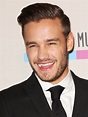 Liam Payne Picture 38 - 2013 American Music Awards - Press Room