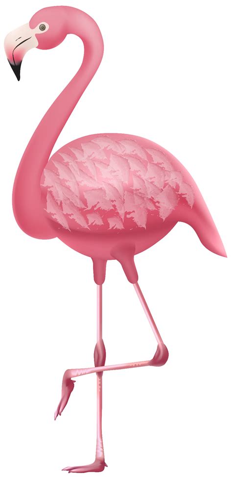 Download High Quality Flamingo Clip Art High Resolution