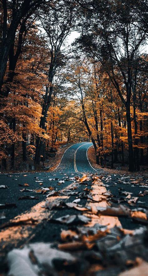 Fall Road Wallpapers Top Free Fall Road Backgrounds Wallpaperaccess