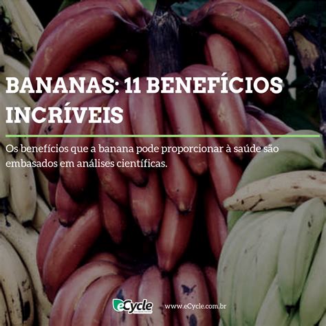 Bananas 11 Benefícios Incríveis Ecycle Bananas Saúde Do Coração