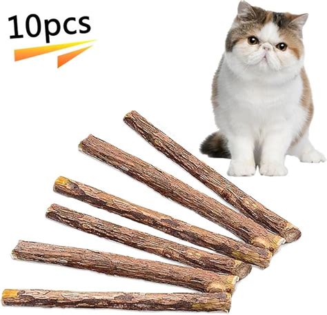 Cat Catnip Sticks Ntural Matatabi Chew Sticks Teeth Grinding Snacks