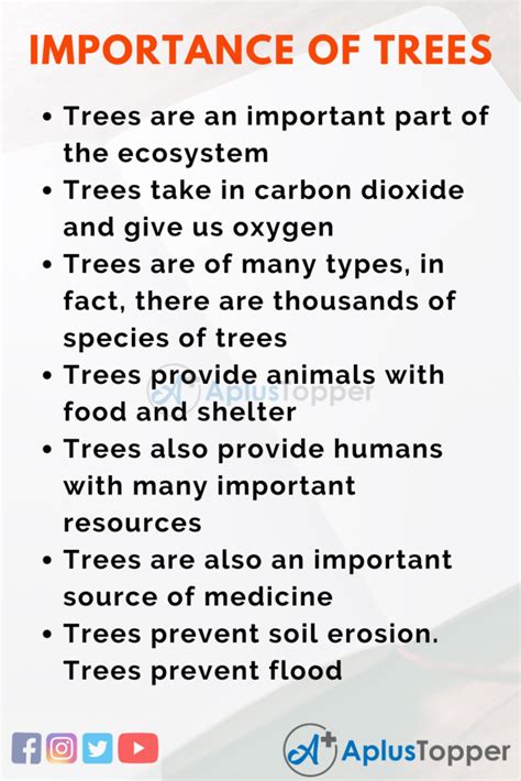 Importance Of Trees Essay Essay On Importance Of Trees Essay For