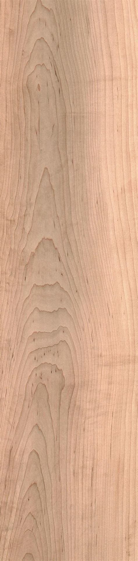 Hard Maple The Wood Database Lumber Identification Hardwood