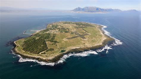 Flocking To Robben Island Tourists By Day Poachers By Night The New