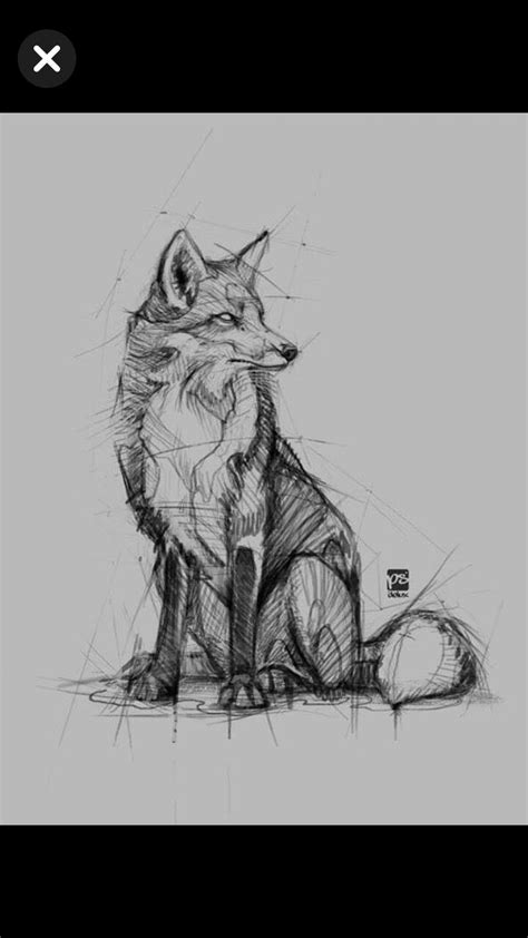 Le Renard Fox Sketch Animal Sketches Fox Artwork