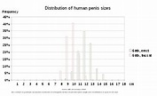 Human penis size - Wikipedia