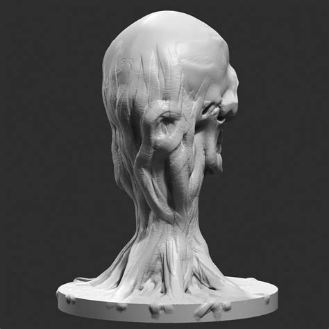 Skull Head Modern Sculpture 3d Print Model 71 Cgtrader