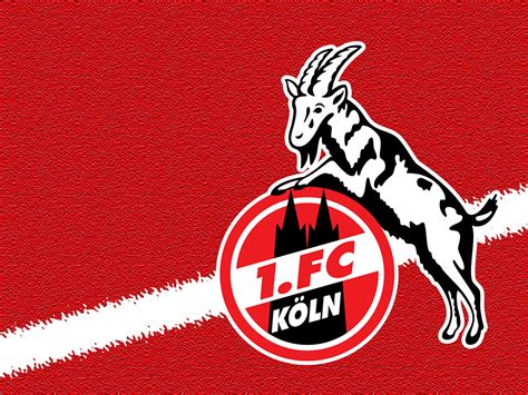 Fc köln wallpapers mit logo. 1. FC Köln #003 - Hintergrundbild