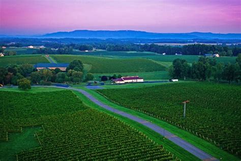 The 20 Best Nc Wineries To Visit