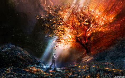 Fantasy Art Artwork Trees Landscape Fire Wallpapers Hd Desktop