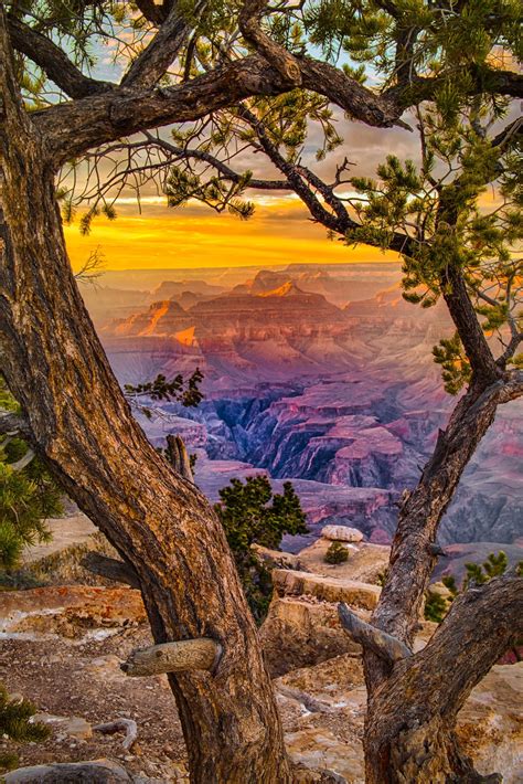 Grand Canyon National Park William Horton Photography